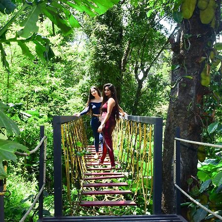 Misty Rain Estate Hotell Madikeri Eksteriør bilde
