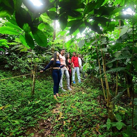 Misty Rain Estate Hotell Madikeri Eksteriør bilde