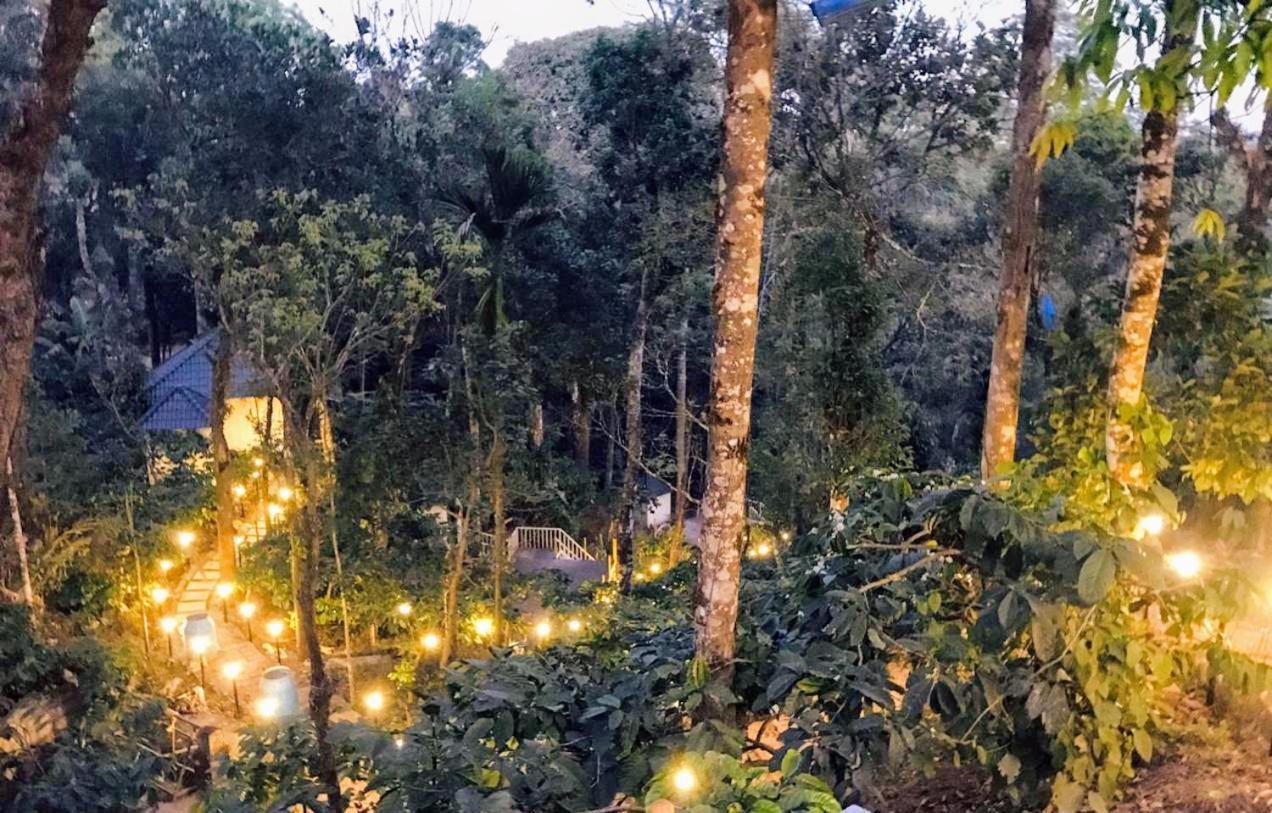 Misty Rain Estate Hotell Madikeri Eksteriør bilde
