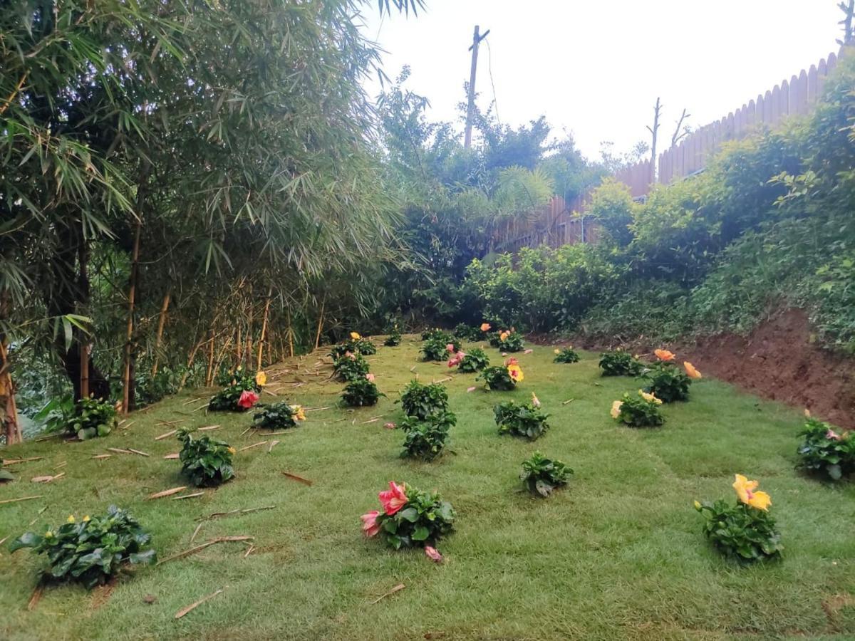Misty Rain Estate Hotell Madikeri Eksteriør bilde
