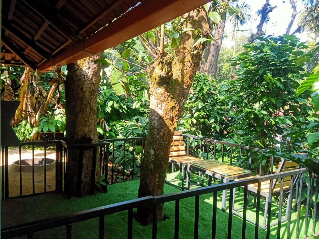 Misty Rain Estate Hotell Madikeri Eksteriør bilde