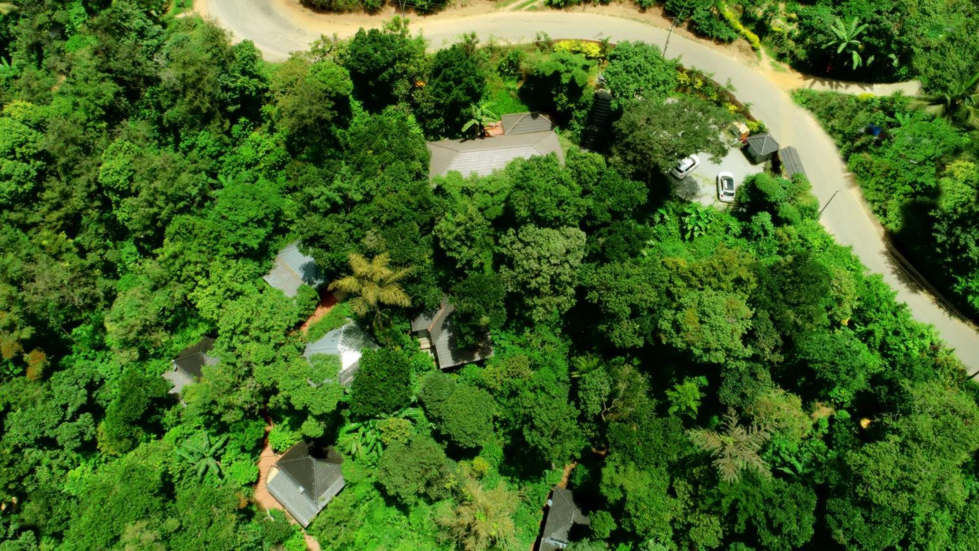 Misty Rain Estate Hotell Madikeri Eksteriør bilde