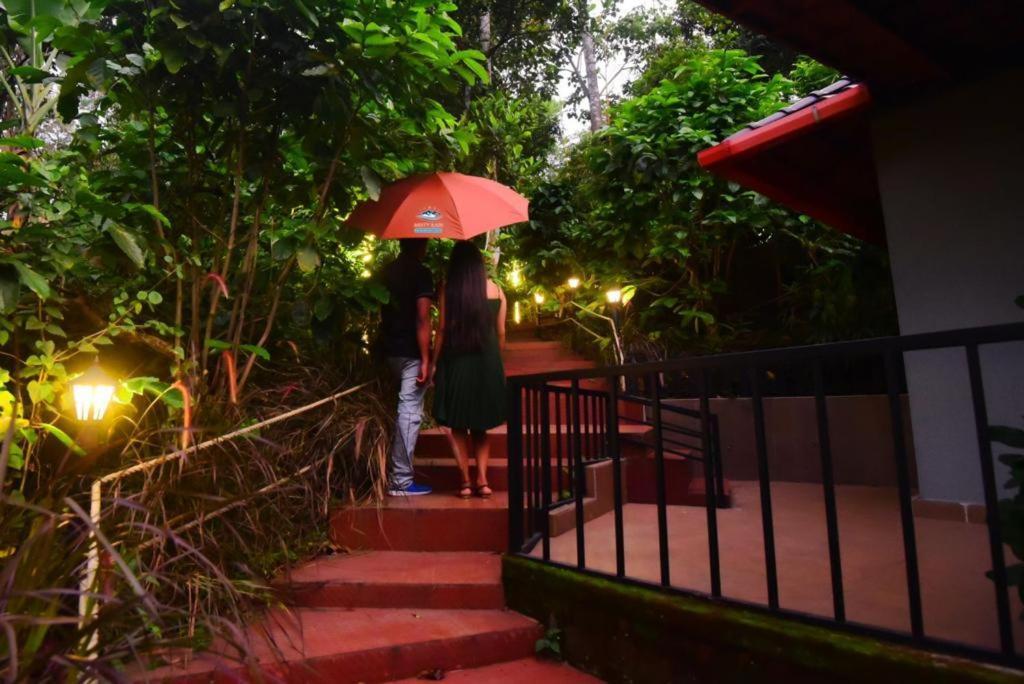 Misty Rain Estate Hotell Madikeri Eksteriør bilde