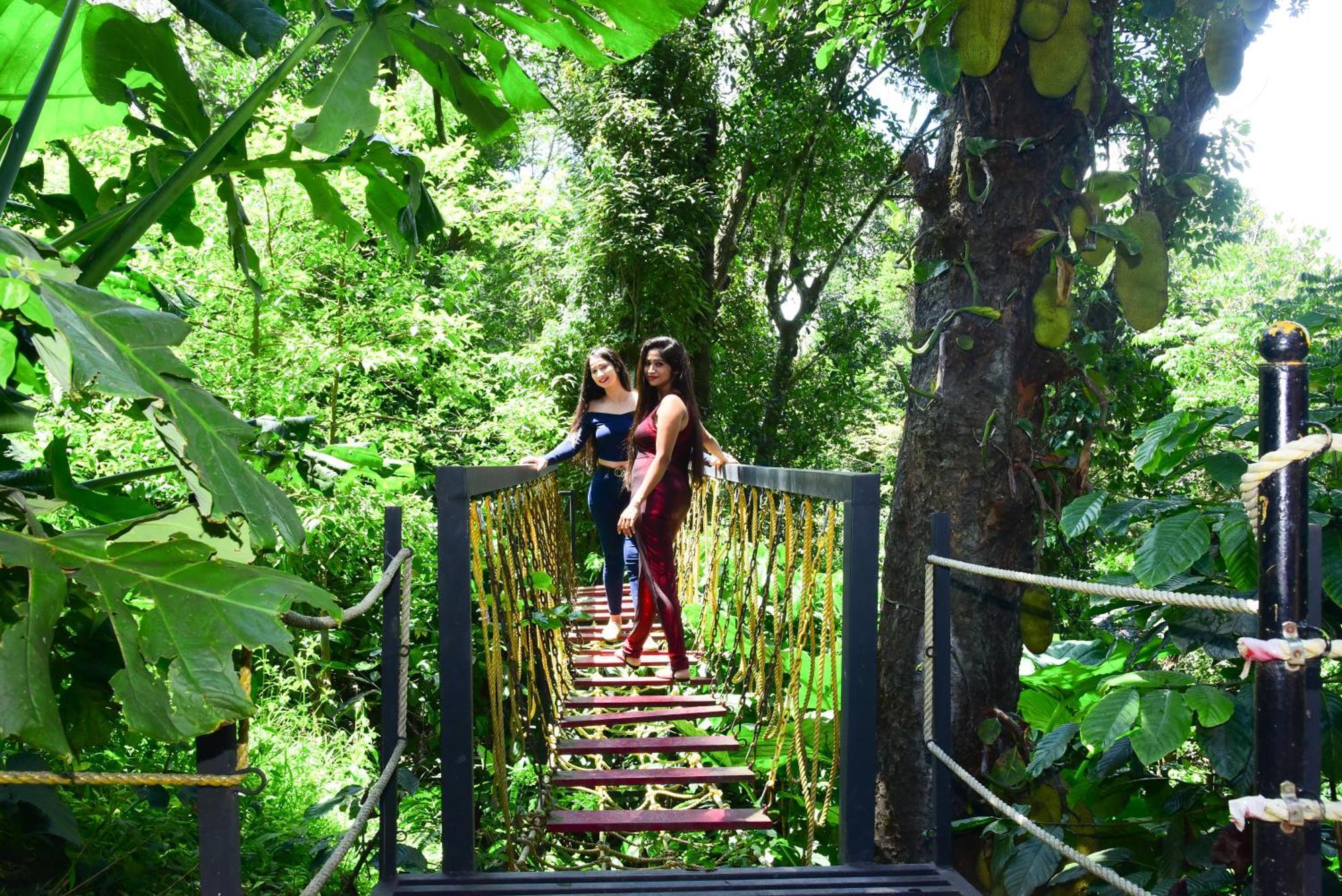 Misty Rain Estate Hotell Madikeri Eksteriør bilde