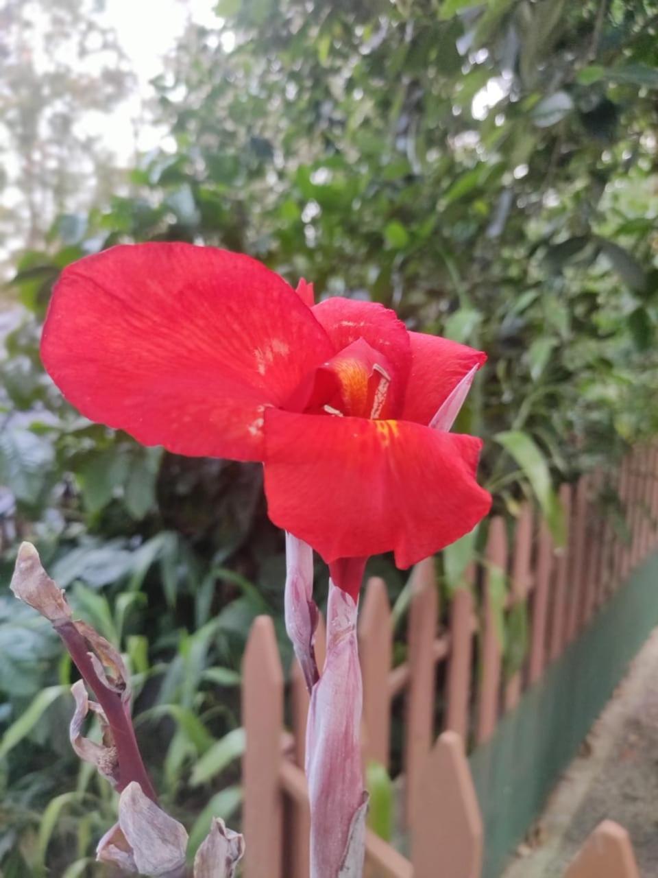 Misty Rain Estate Hotell Madikeri Eksteriør bilde